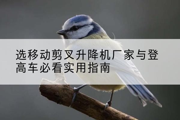 洪洞电动升降机厂家-选移动剪叉升降机厂家与登高车必看实用指南