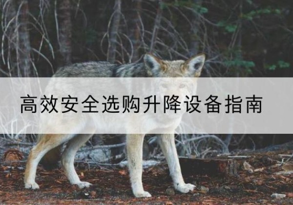 洪洞升降货梯厂家推荐-*安全选购升降设备指南