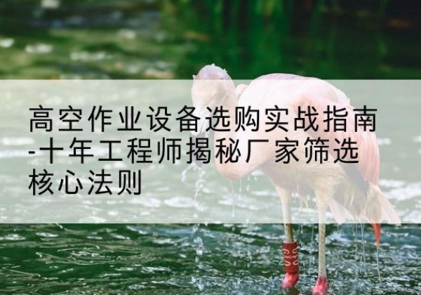 洪洞剪叉式升降机厂家-高空作业设备选购实战指南-十年工程师揭秘厂家筛选核心法则